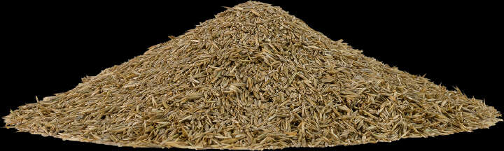 DERBY PremiumSaat Pferdeweide Weidenutzung fruktanarm